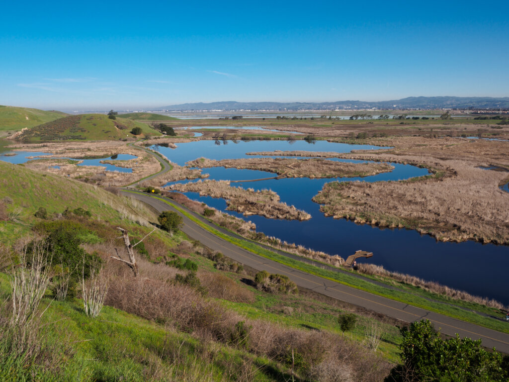 View of wetlands from a hillside