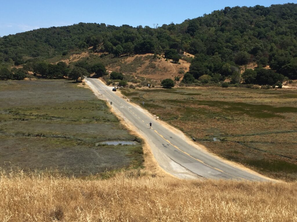 View from uphill of a road bordered by marshes