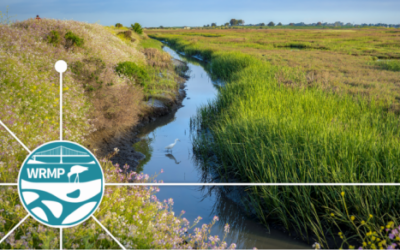 Esri Blog Highlights Baylands Habitat Map