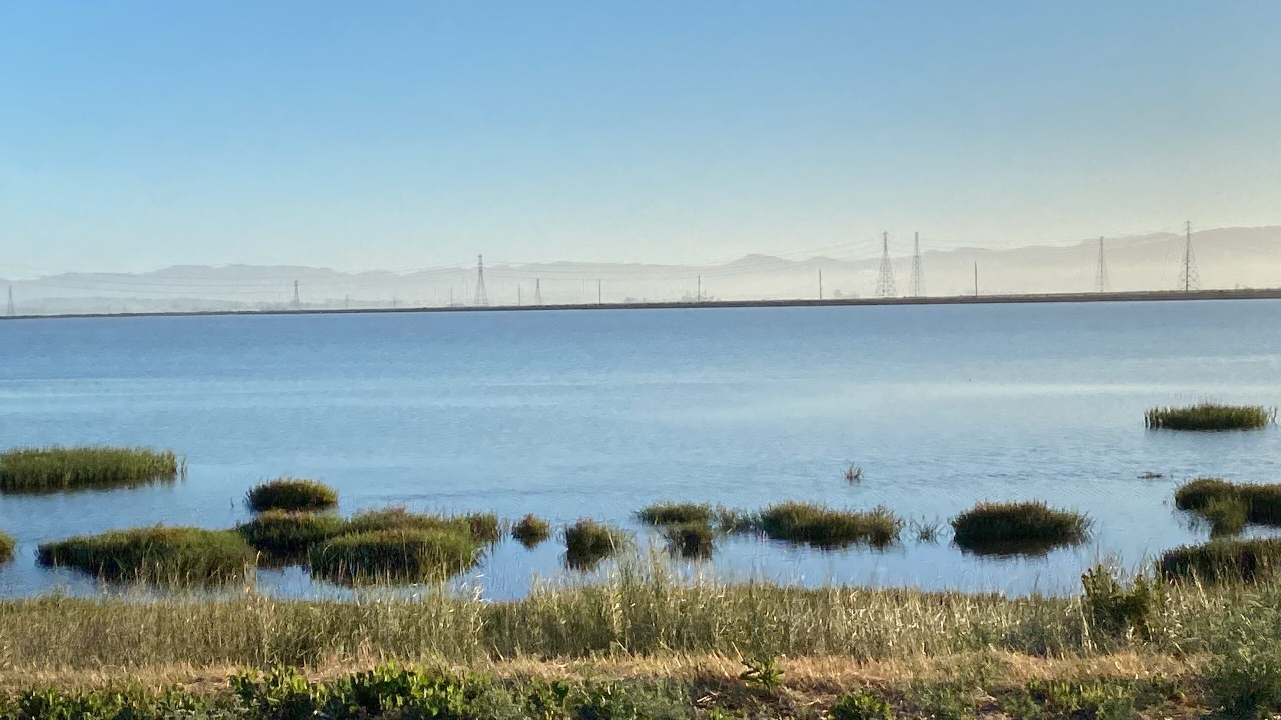 wetland area