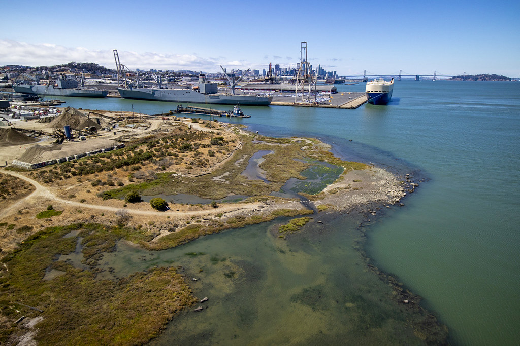Pier 94 Bay