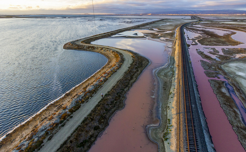 Salt ponds alviso flats