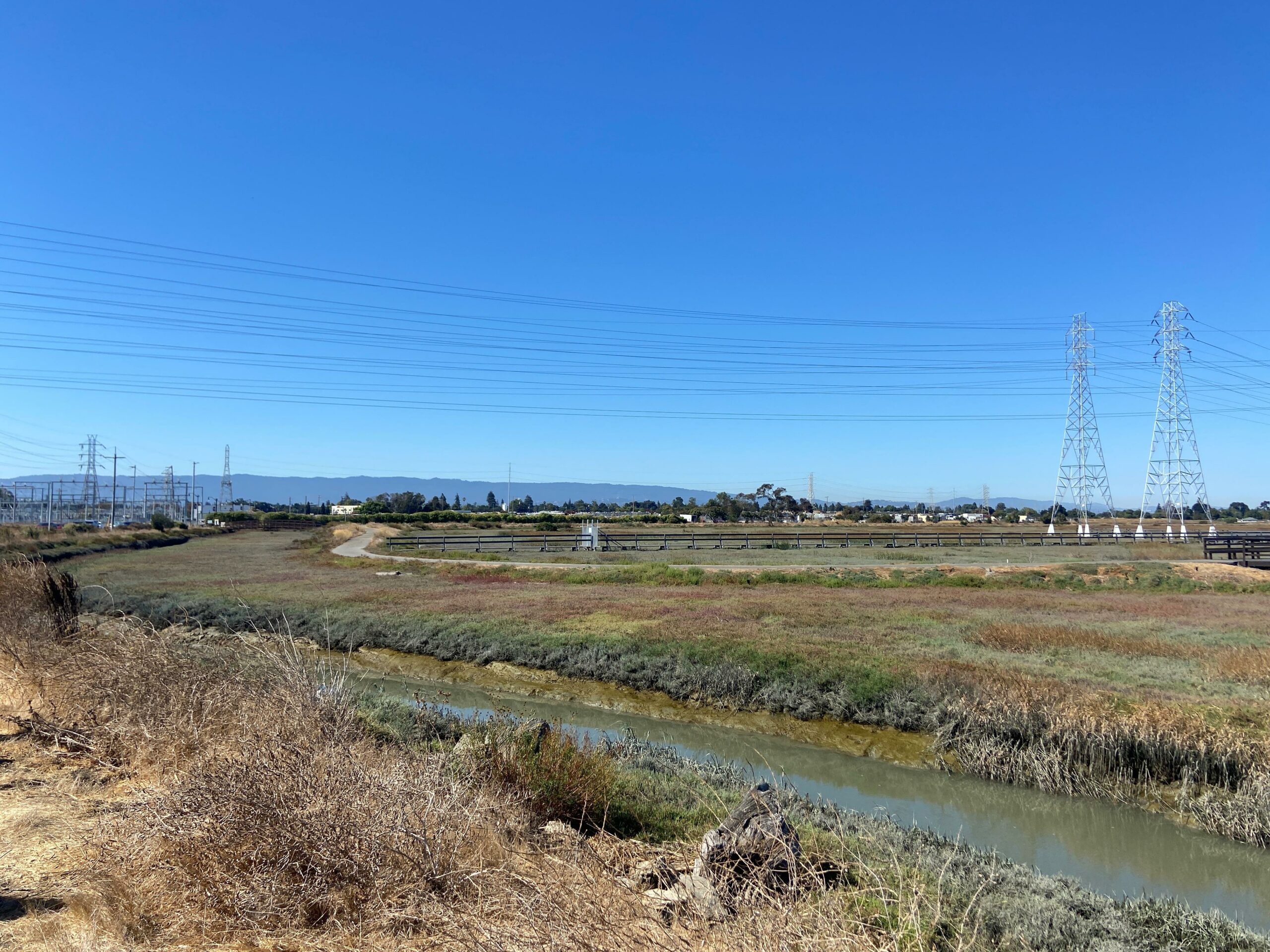Natural water channel running through a marsh.