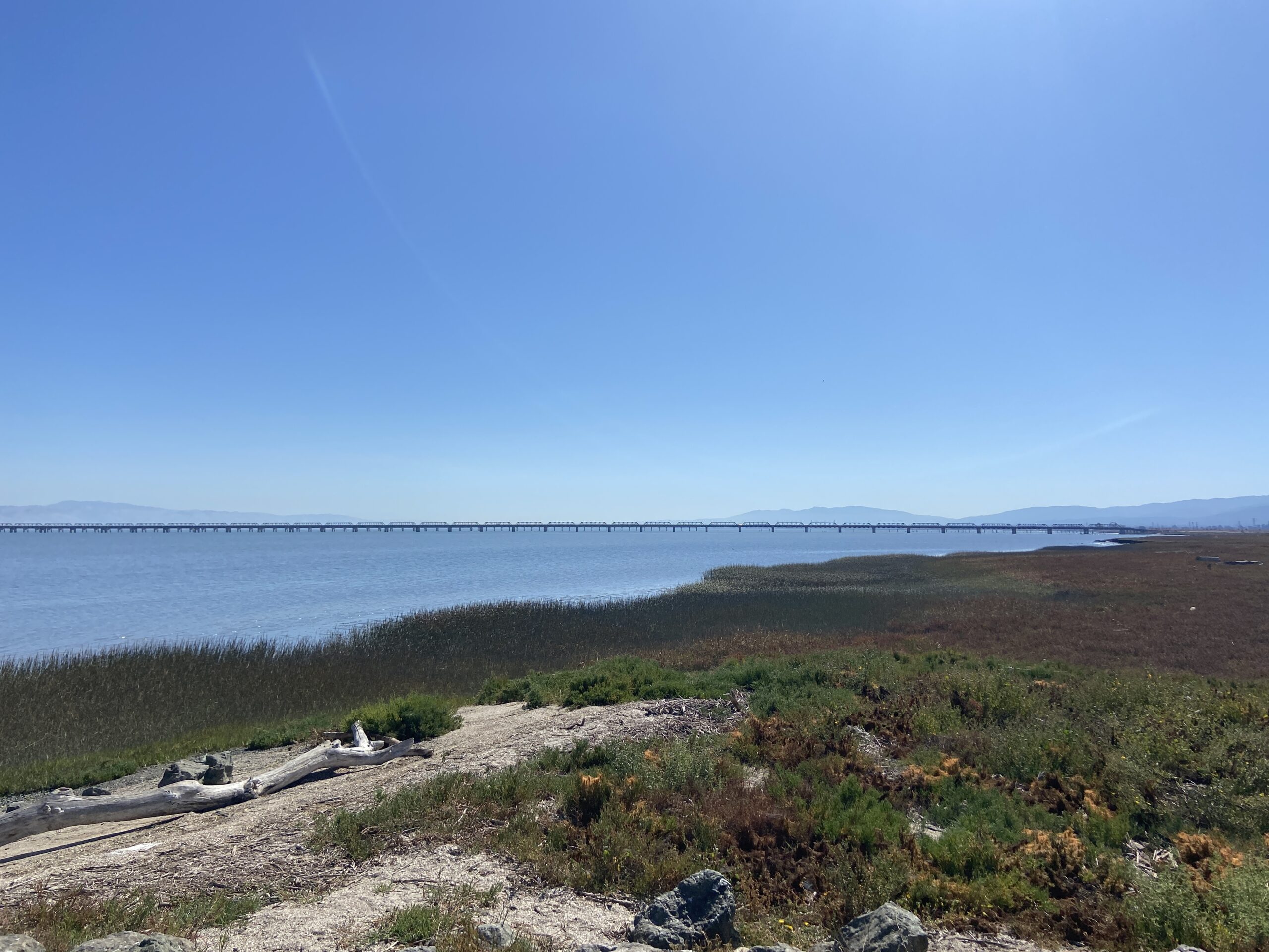Image from the top of a mound on the shoreline, looking over a wetland with a bridge in the distance