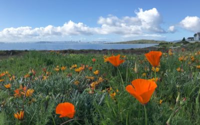 Spring 2025 Newsletter
