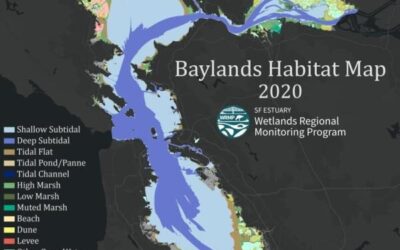 Introducing the Baylands Habitat Map 2020! Part 1