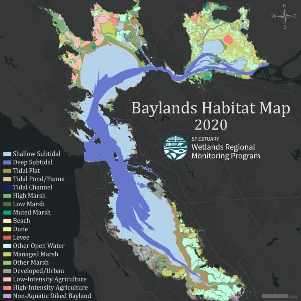 Introducing the Baylands Habitat Map 2020! Part 1