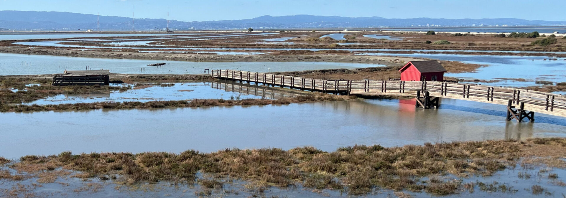 Tidal wetland and channel with very high water overtopping most of the vegetation during a king tide. There is a wooden foot bridge with rails going over the channel with a small building along it.