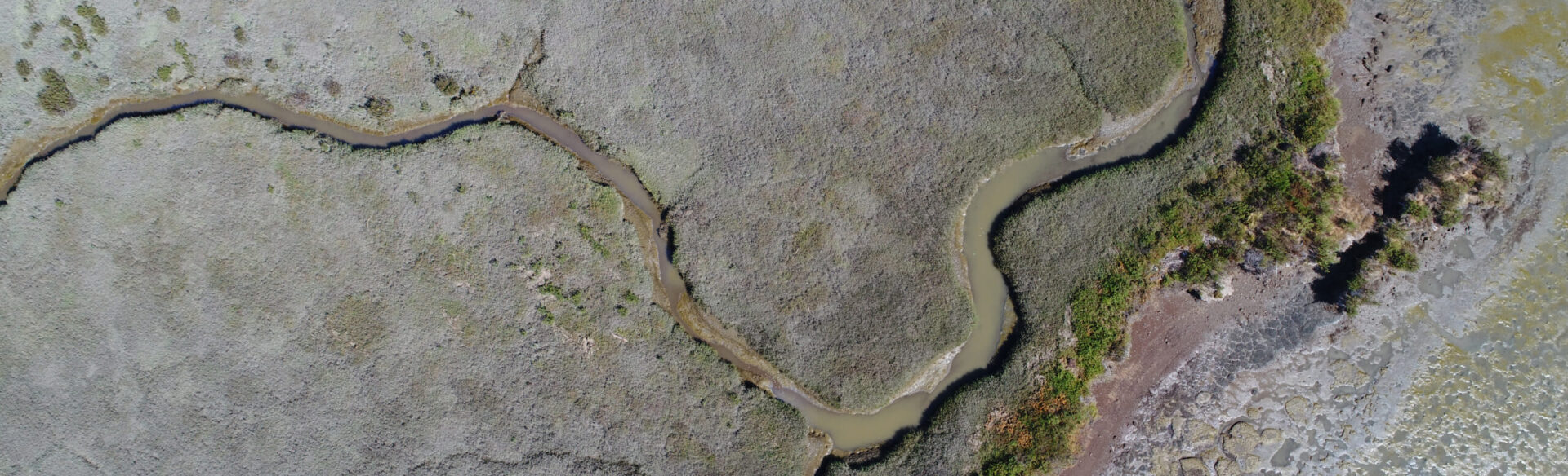 Drone image over a vegetated wetland. The wetland and a sinuous tidal channel span most of the image. Along the right side, a mudflat is exposed at low tide.