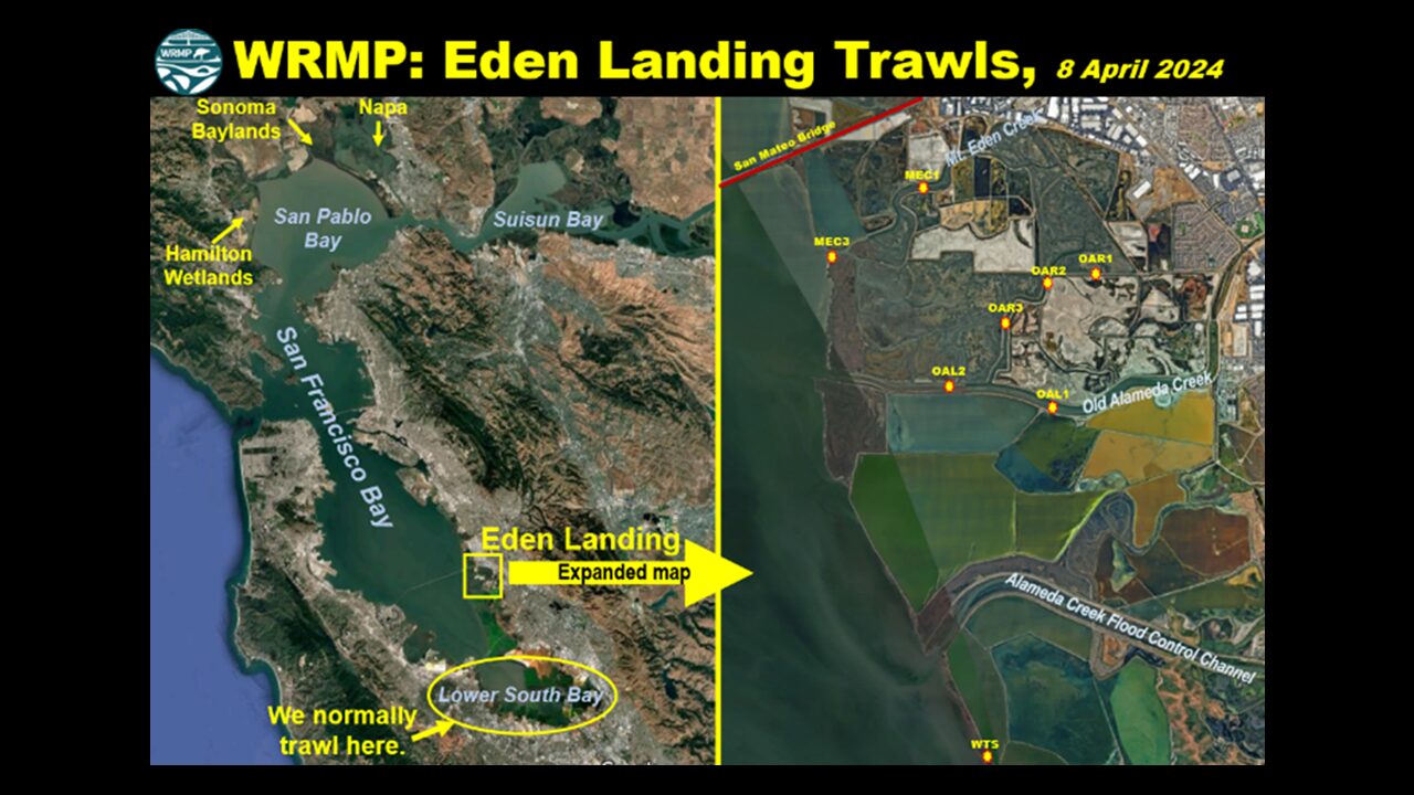 Map of the Bay Area highlighting WRMP trawl areas