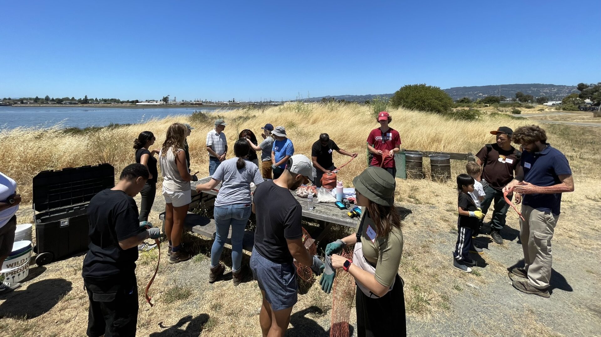 A group of people gathered around a picnic table with oyster restoration supplies, a marsh and yellow vegetation is seen behind them
