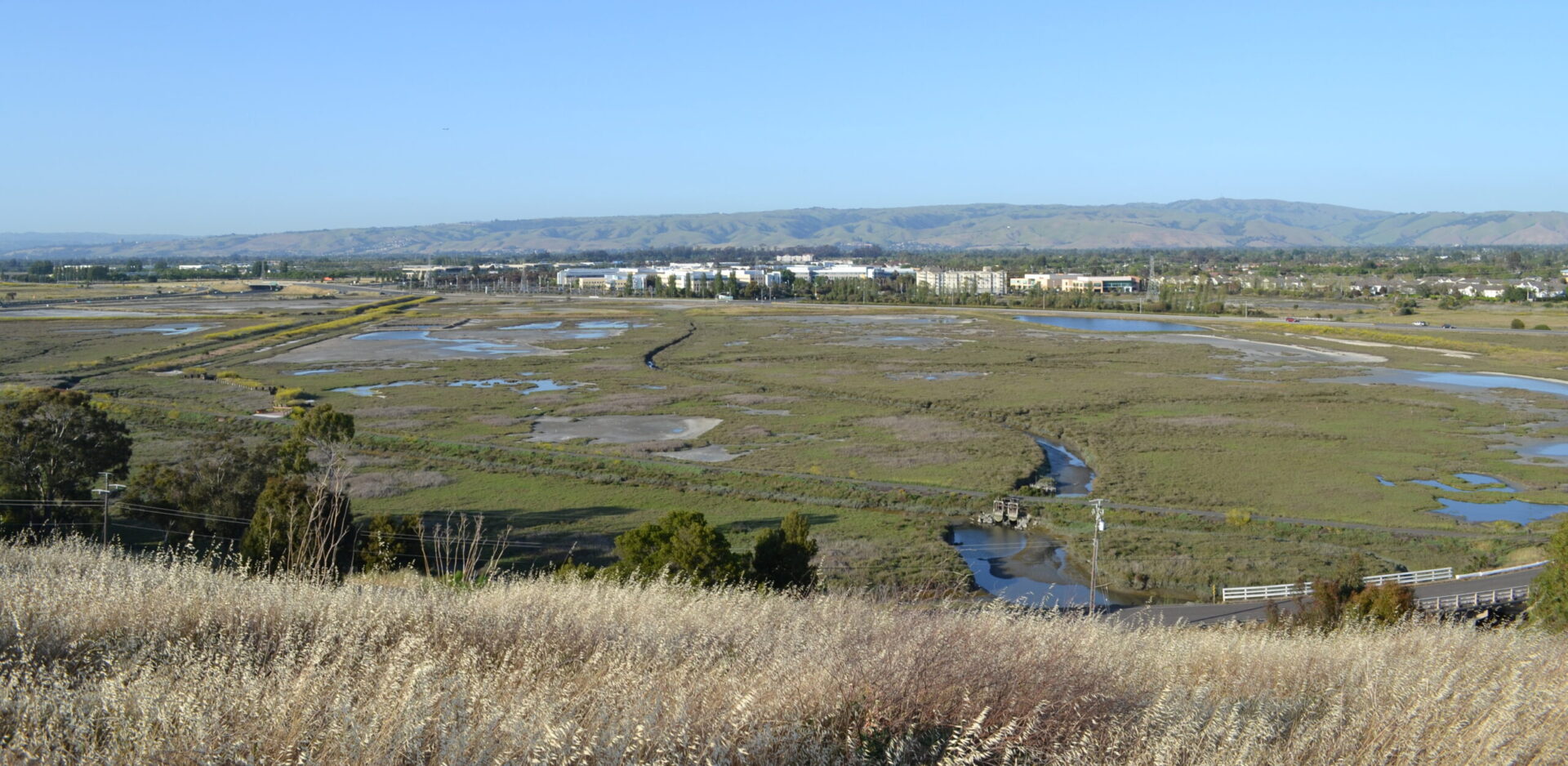 A large marsh in Don Edwards Wildlife Refuge viewed from above, with Fremont and East Bay hills in the background