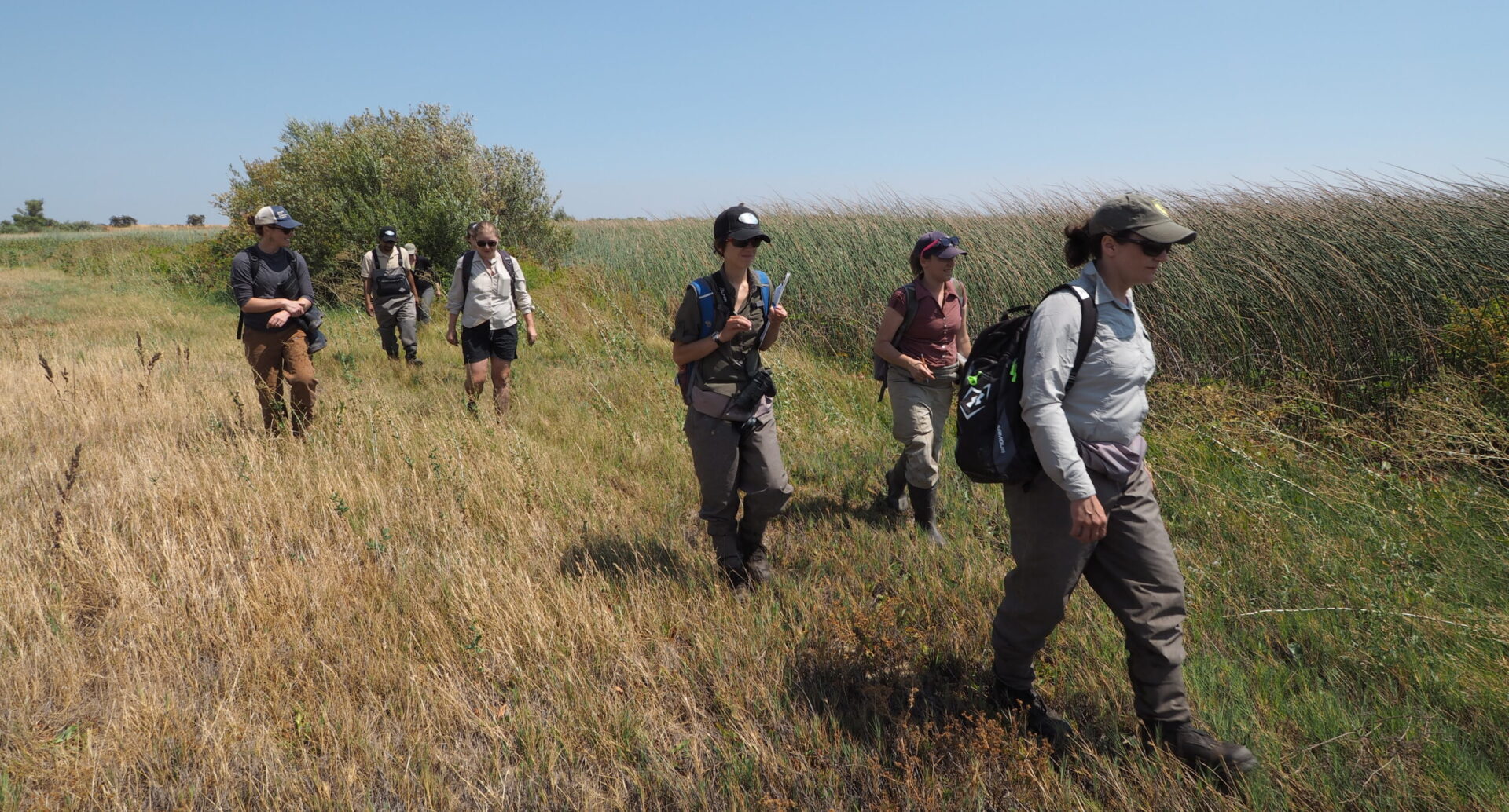A group of surveyors walk along the upland edge of a wetland