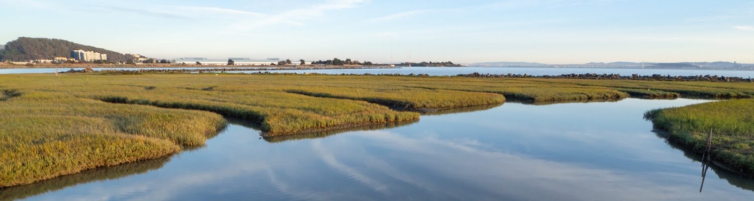 Tidal saltmarsh with low vegetation and a large tidal channel full of water. The clouds and sky are reflected in the still water. In the distant background are buildings and a hill.