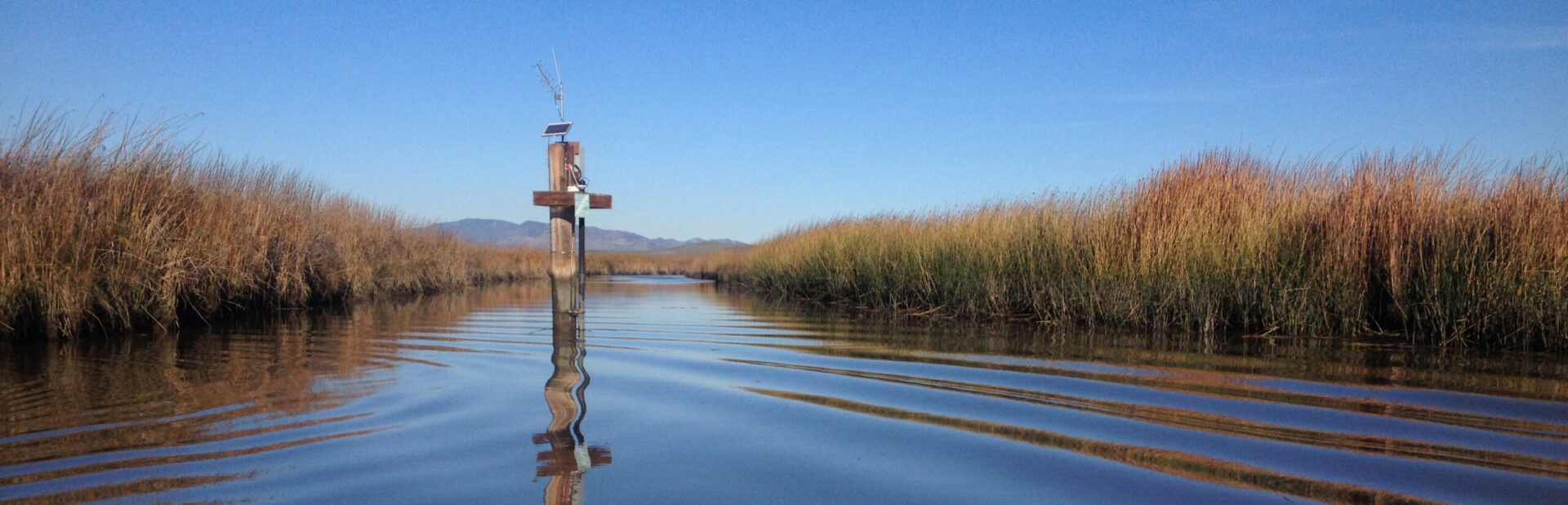 Tidal channel full of water with a large wood pylon with an antenna and equipment to measure water quality attached.
