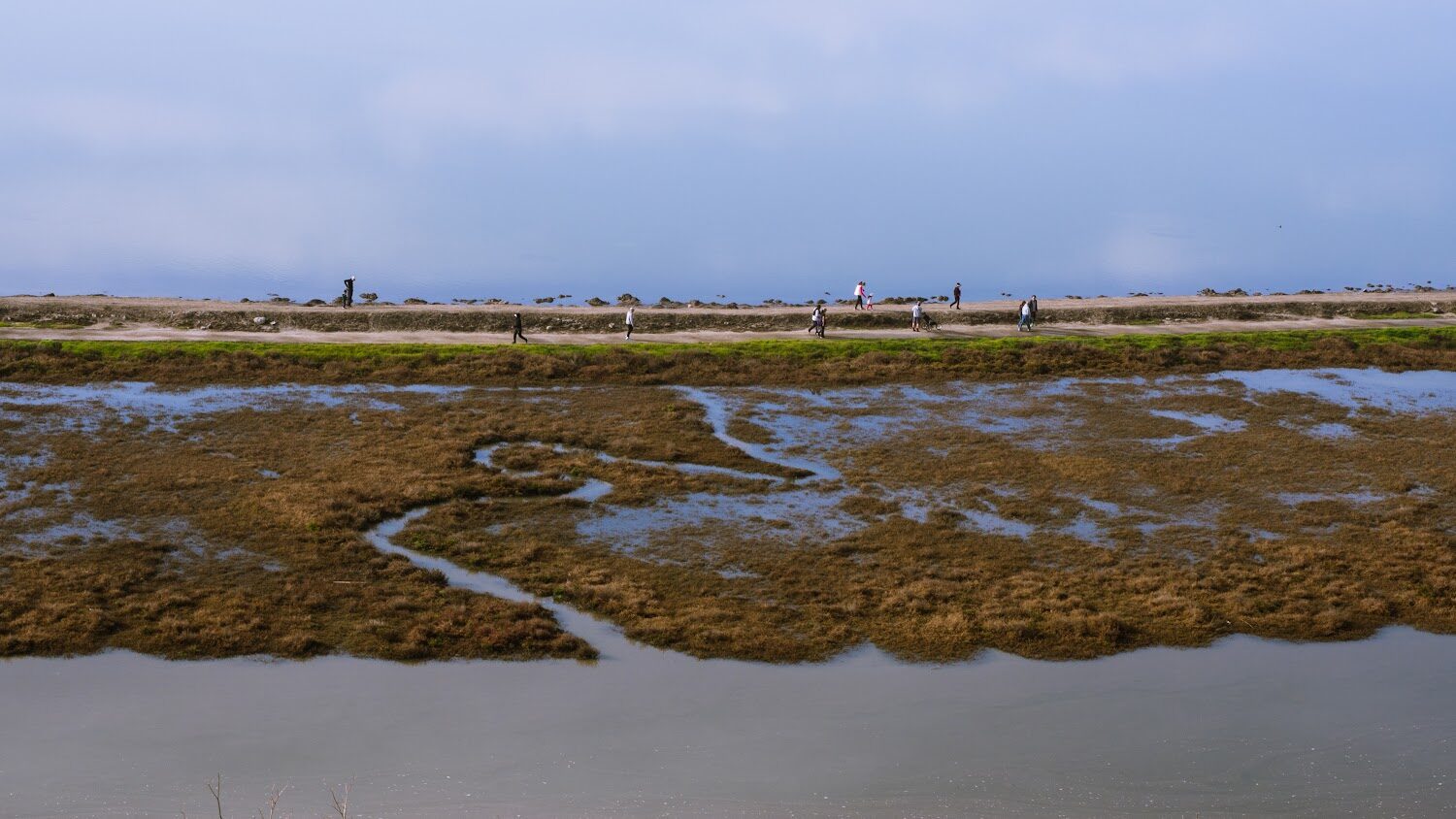 A levee path with people walking along it cuts through the center of the photo. On one side of the levee is tidal wetland vegetation.
