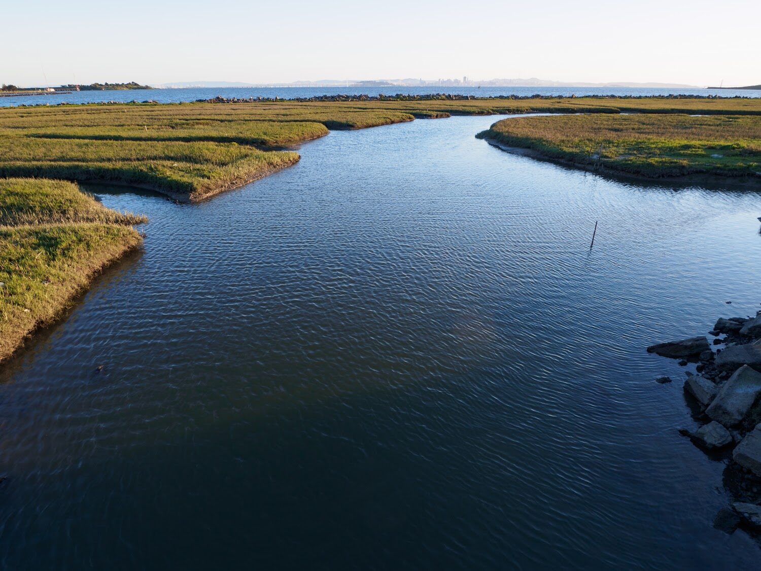 A wide slough cuts through a vegetated wetland, behind the wetland a view of the Bay and San Francisco’s skyline muted in the background