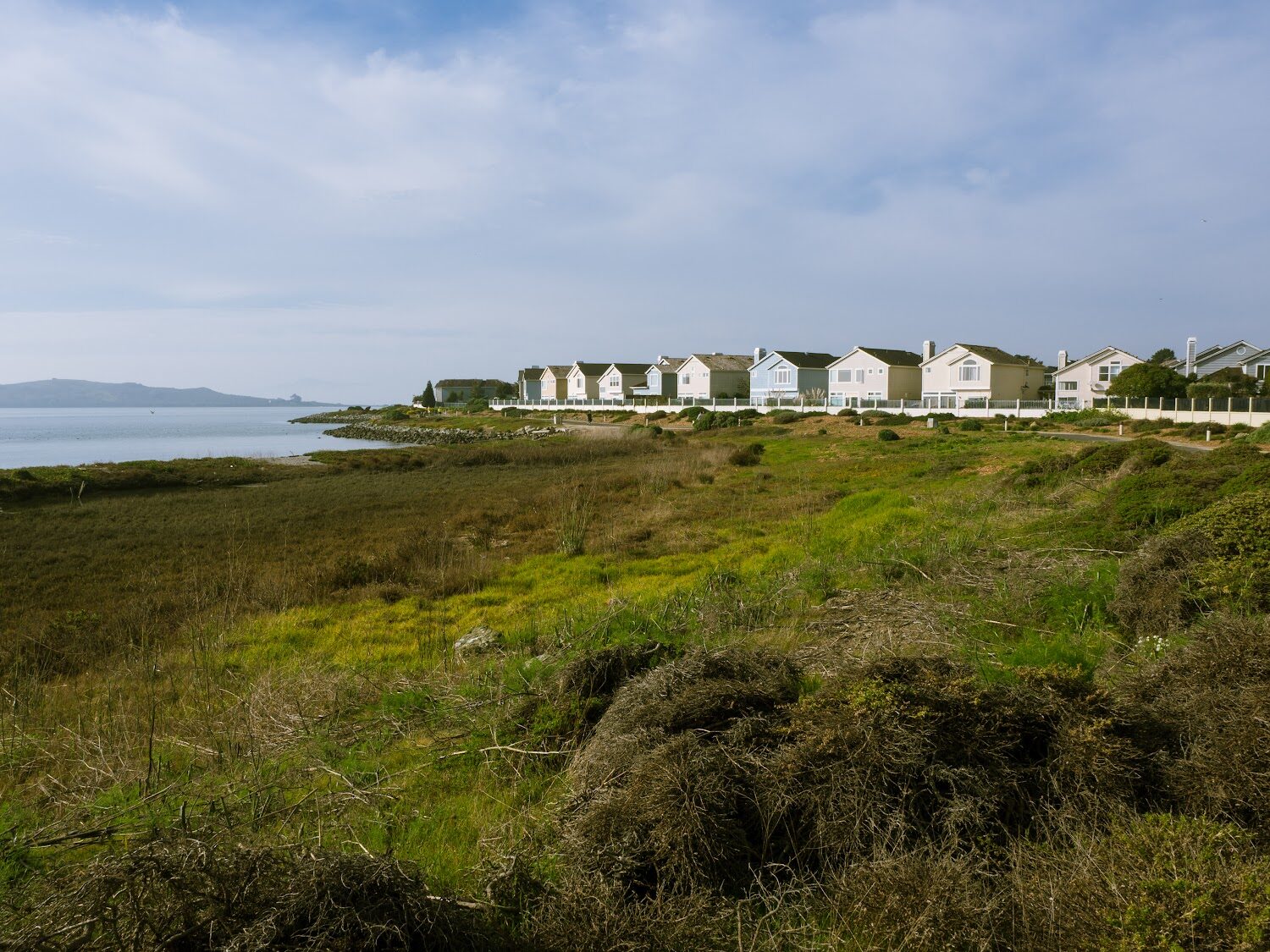  Houses along the shoreline with marsh protecting them from the water of the Bay