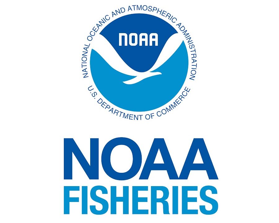 NOAA Logo