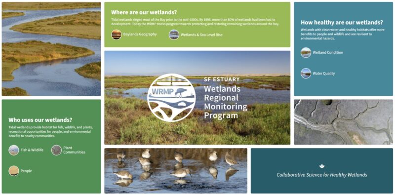 screenshot of wrmp.org homepage