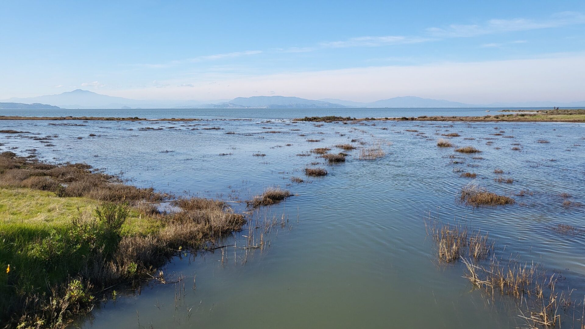 View from the edge of a flooded marsh, looking over the marsh and across the Bay at hazy hills in the background.