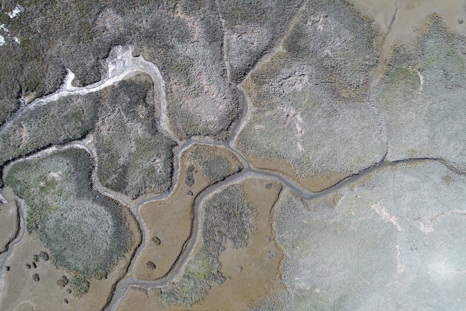 Drone shot of marsh with sinuous channels running through it.